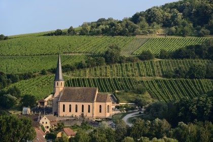 France, Bas Rhin, the Alsace Wine Route, Andlau, the Saint Andre chapel and the vineyard