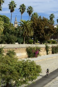 Spain, Andalusia, Seville, Guadalquivir river Banks, the Paseo de Cristobal Colon (Christopher Columbus) and the Giralda in the background