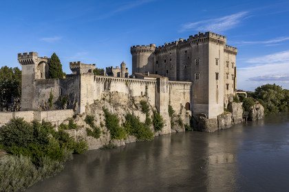 France, Bouches du Rhone, Tarascon, the 15th century castle of King René on the banks of the Rhone river (aerial view)