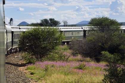 Namibie, région de Otjozondjupa, le train Shongololo express traversant le bush namibien