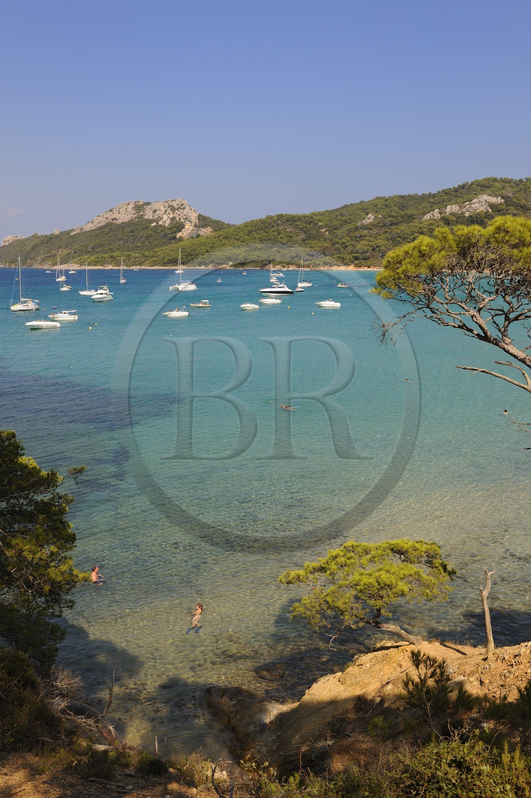 France, Var (83), Iles d'Hyères, parc national de Port-Cros, île de Porquerolles, la Plage Notre Dame
