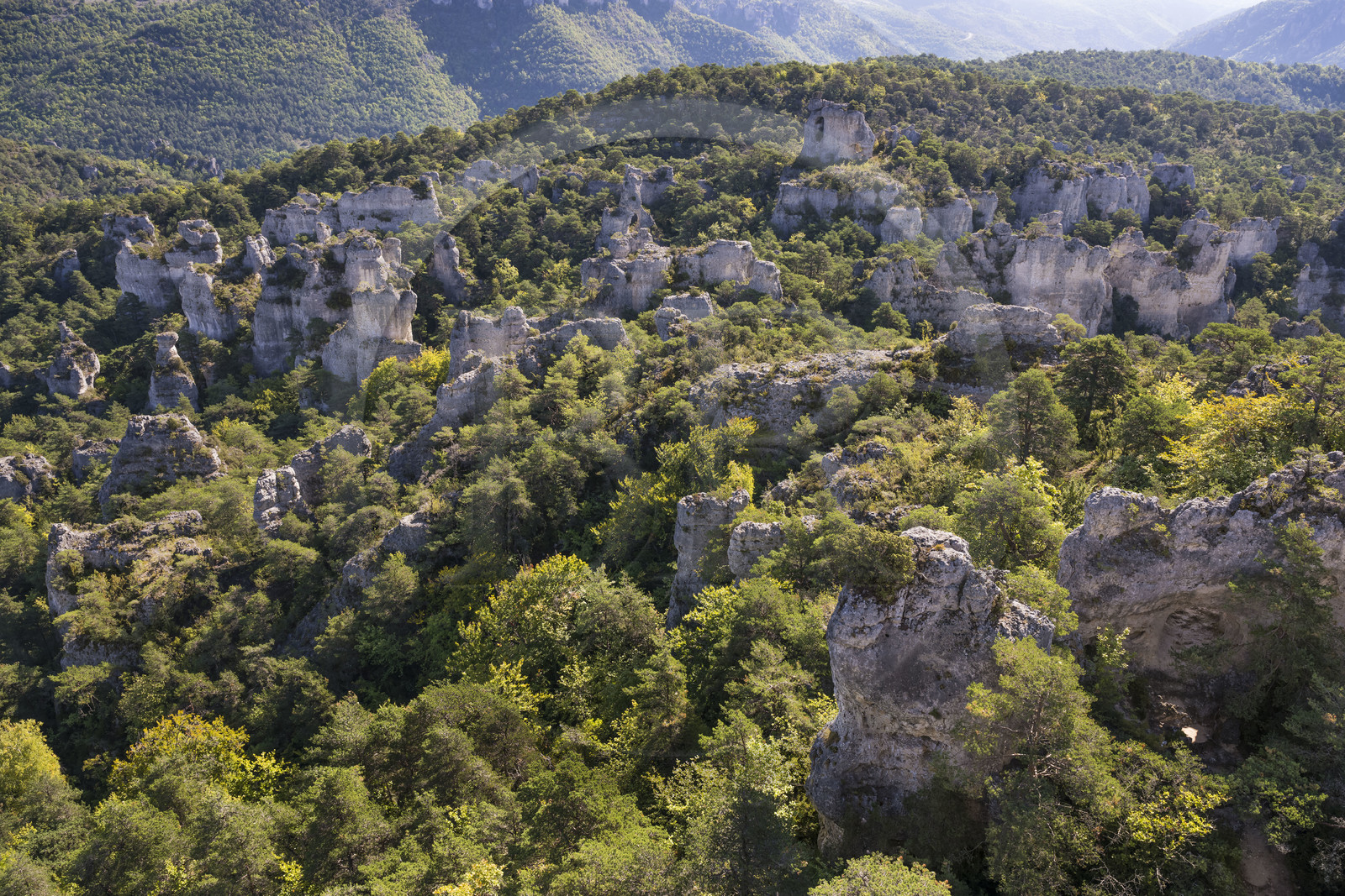 France, Aveyron (12), Causses et les Cévennes, paysage culturel de l'agro-pastoralisme méditerranéen, classés Patrimoine Mondial de l'UNESCO, Causse Noir, La Roque-Sainte-Marguerite, chaos de Montpellier-le-Vieux, la Cité de Pierres