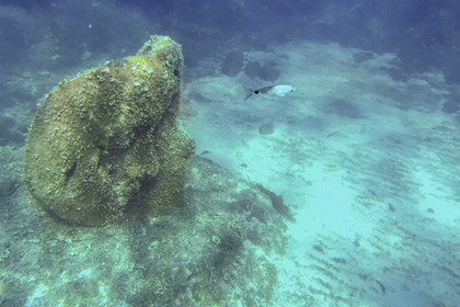 France, Alpes-Maritimes (06), Cannes, Iles de Lérins, Ile Sainte-Marguerite, l’écomusée sous-marin formé de statues monumentales de l’artiste Jason deCaires Taylor, moulées selon les visages de 6 Cannois et immergées à une distance allant de 84 à 132 mètres du rivage pour une profondeur de 3 à 5 mètres