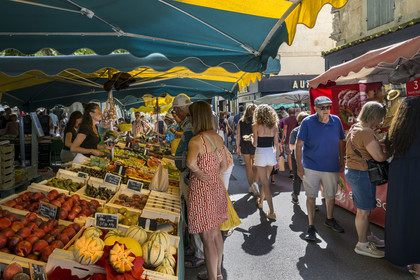 France, Bouches du Rhone, Regional Natural Park of the Alpilles, Saint Remy de Provence, fruit stall on the market place Jules Pellissier