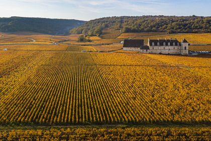 France, Cote d'Or, cultural Landscape of the climates of Burgundy listed as World Heritage by UNESCO, Vougeot, Route des Grands Crus (road of Vintage Wines), the vineyard and the Chateau du Clos de Vougeot (aerial view)