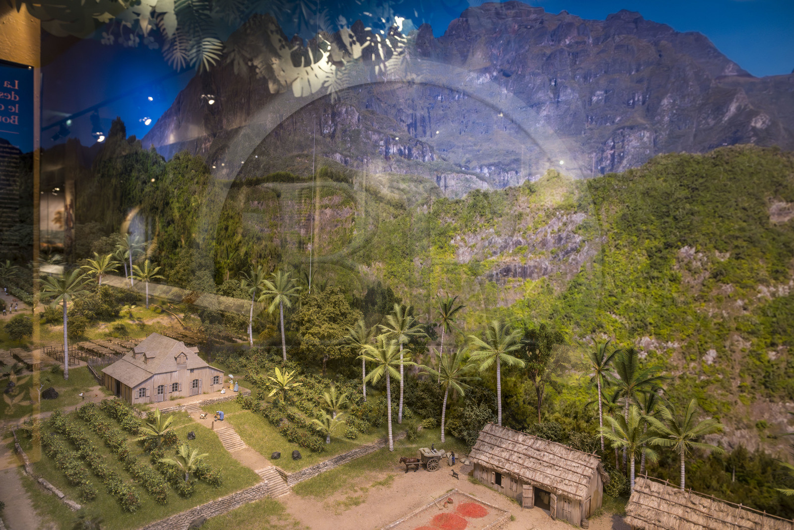 France, Morbihan (56), Port-Louis, la citadelle de Port-Louis, musée de la Compagnie des Indes, vitrine consacrée à l'Ile de la Réunion (Bourbon)