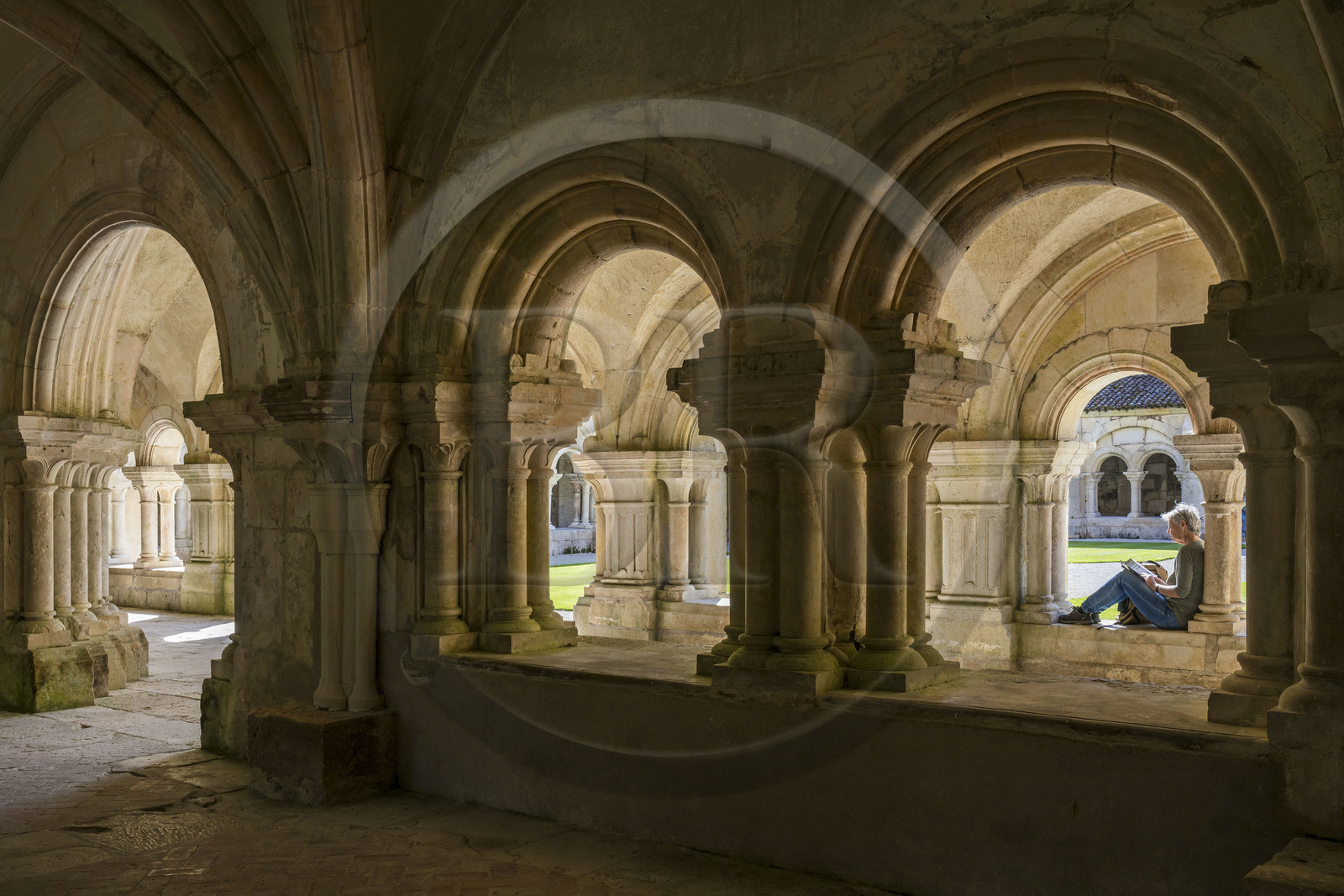 France, Côte-d'Or (21), Marmagne, l'abbaye cistercienne de Fontenay classée au Patrimoine Mondial de l'UNESCO, la salle capitulaire qui s'ouvre sur la galerie est du cloître