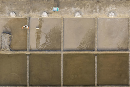 France, Charente-Maritime (17), Ile d'Oléron, Saint-Georges-d'Oléron, cueillette artisanale de la fleur de sel avec une lousse à fleur par le saunier Samuel Barbereau (vue aérienne)