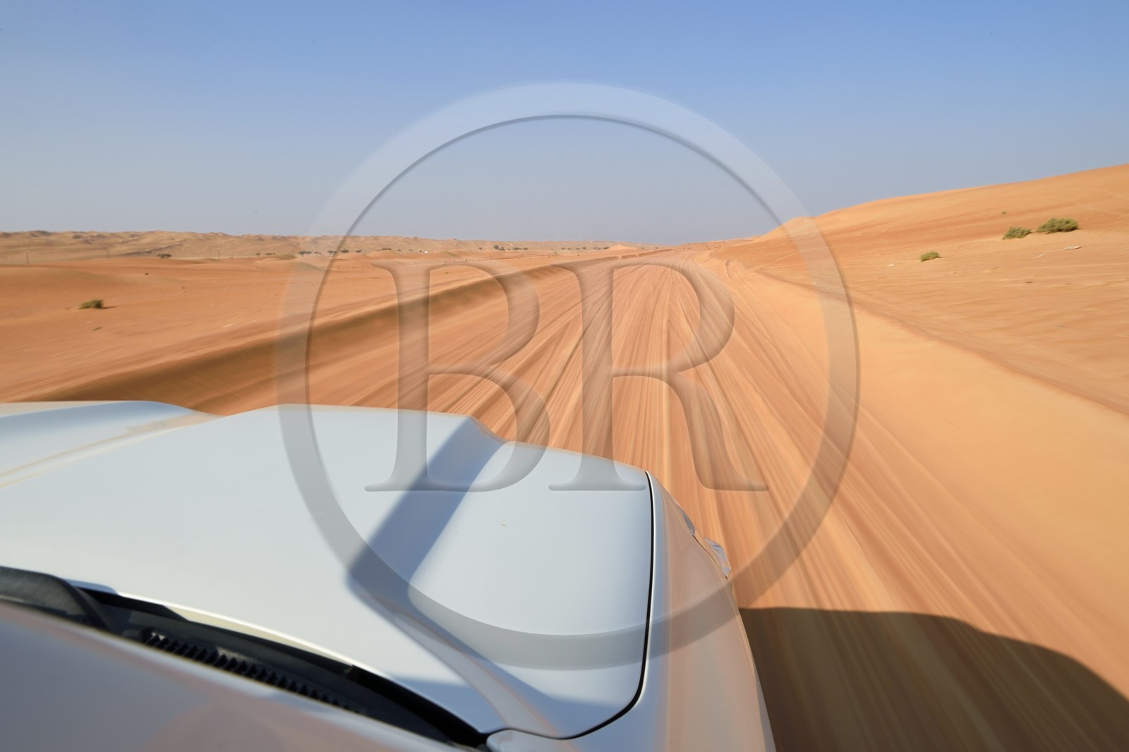 Sultanat d'Oman, gouvernorat de Ash Sharqiyah, désert des Wahiba Sands ou Sharqiya Sands, 4x4 sur la piste qui slalome entre les dunes de sable