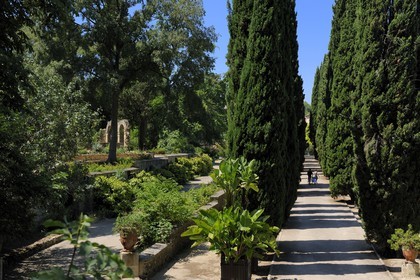 France, Hérault (34), Montpellier, le Jardin des Plantes