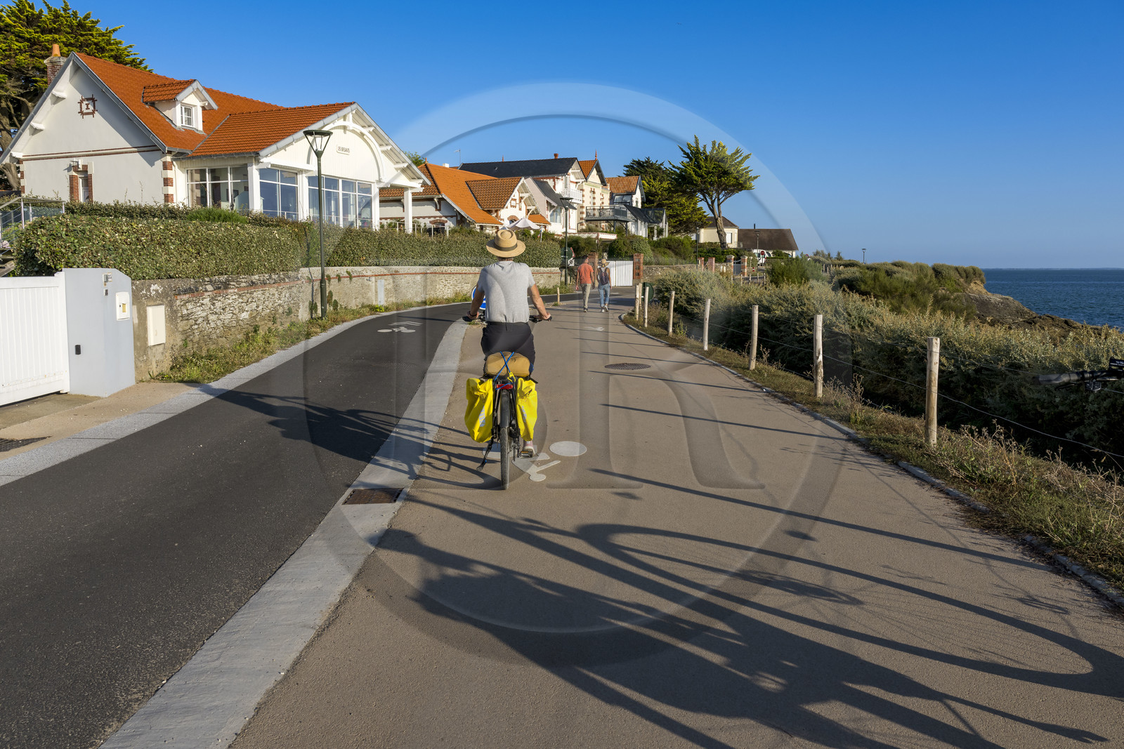 France, Loire-Atlantique (44), Pornic, cycliste sur la piste cyclable de la Vélodyssée sur la Pointe de Gourmalon