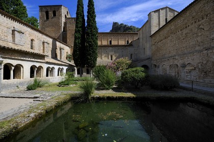 France, Hérault (34), village médiéval de Saint-Guilhem-le-Désert, étape du pélerinage de Saint-Jacques-de-Compostelle, labellisé Les Plus Beaux Villages de France, abbaye de Gellone du XIe siècle classée Patrimoine Mondial de l'UNESCO, Le cloître