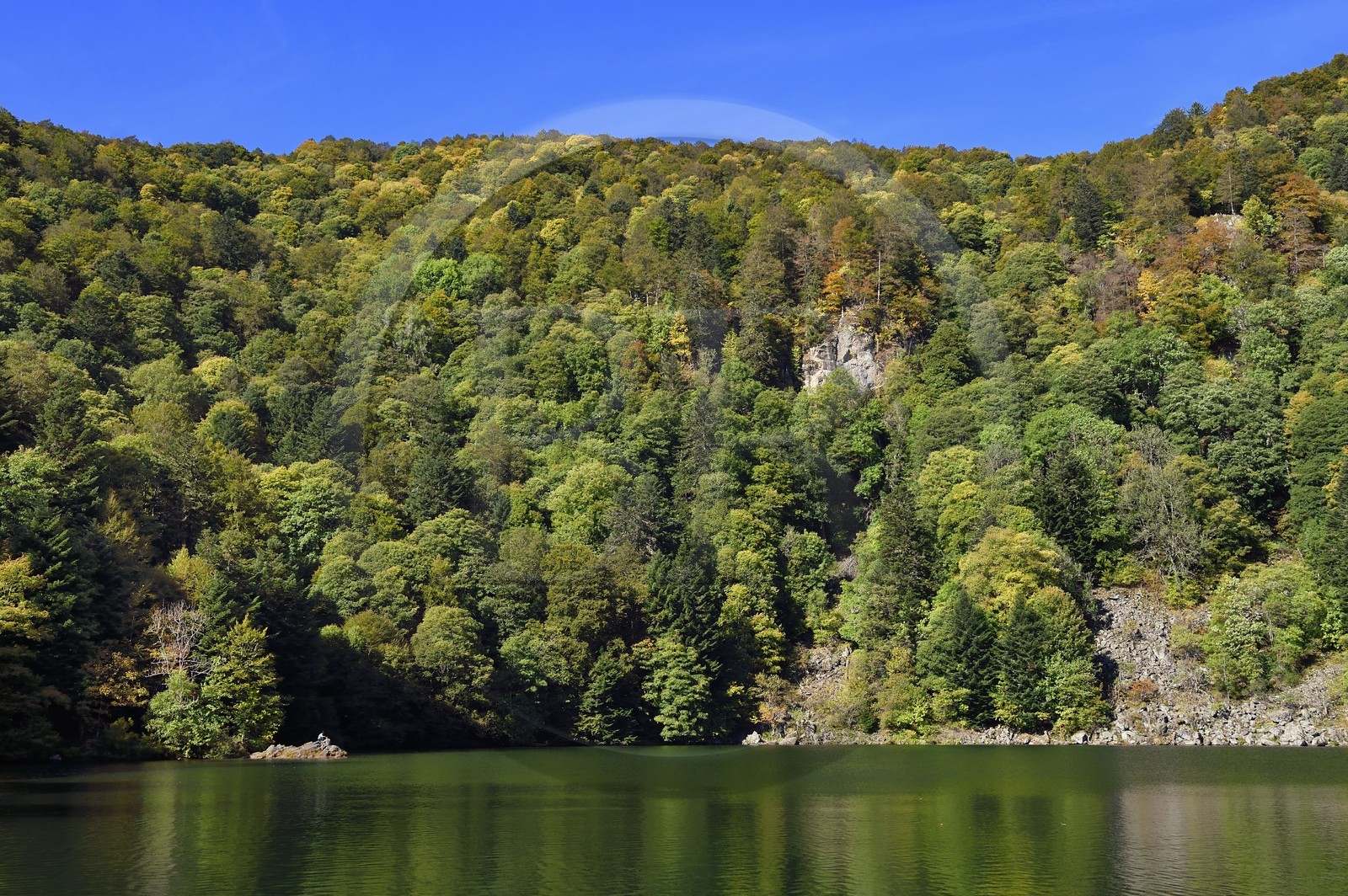 France, Haut-Rhin (68), Parc naturel régional des ballons des Vosges, Rimbach-près-Masevaux, le Lac des Perches en dessous de Gazon Rouge dans les Vosges