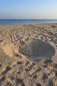 Sultanate of Oman, Ash Sharqiyah South Governorate, Ras al Hadd, turtle hole on the beach