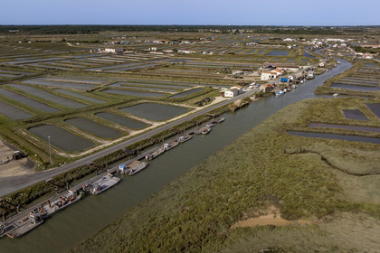 France, Charente Maritime, Oleron island, Dolus d’Oléron, the oyster port of Chenal d’Arceau