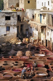 Morocco, Middle Atlas, Fez, Imperial City, Fez El Bali, medina listed as World Heritage by UNESCO, Chouara, tanners of the tannery district