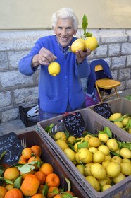 France, Alpes-Maritimes, Menton, municipal covered market, Menton lemons