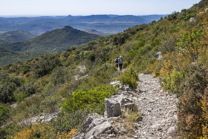 France, Hérault (34), les Causses et les Cévennes, paysage culturel de l'agro-pastoralisme méditerranéen inscrit au Patrimoine Mondial de l'UNESCO, Saint-Privat, randonneurs sur le sentier GR 74 du Mont Saint Baudille en direction de Saint-Guilhem-le-Désert