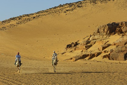 Egypte, Haute Egypte, Nubie, vallée du Nil, Assouan, chameliers sur les dunes de sables de la rive gauche