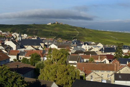 France, Marne, Parc Naturel de la Montagne de Reims (Natural Park of Montagne de Reims), Verzenay, Champagne vineyards