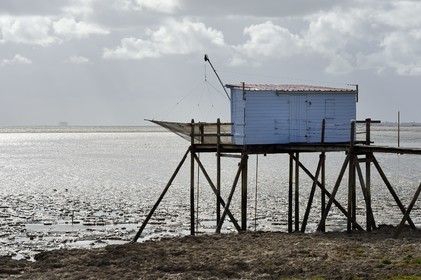 France, Charente-Maritime (17), Fouras, ponton de peche au carrelet et le Fort Boyard en arrière plan
