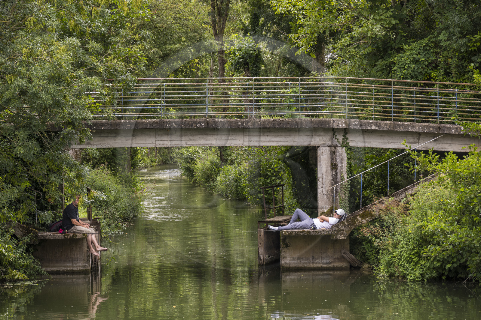 France, Deux-Sèvres (79), le Marais Poitevin, la Venise Verte, Coulon, pecheurs à la ligne au bord de la Sèvre Niortaise