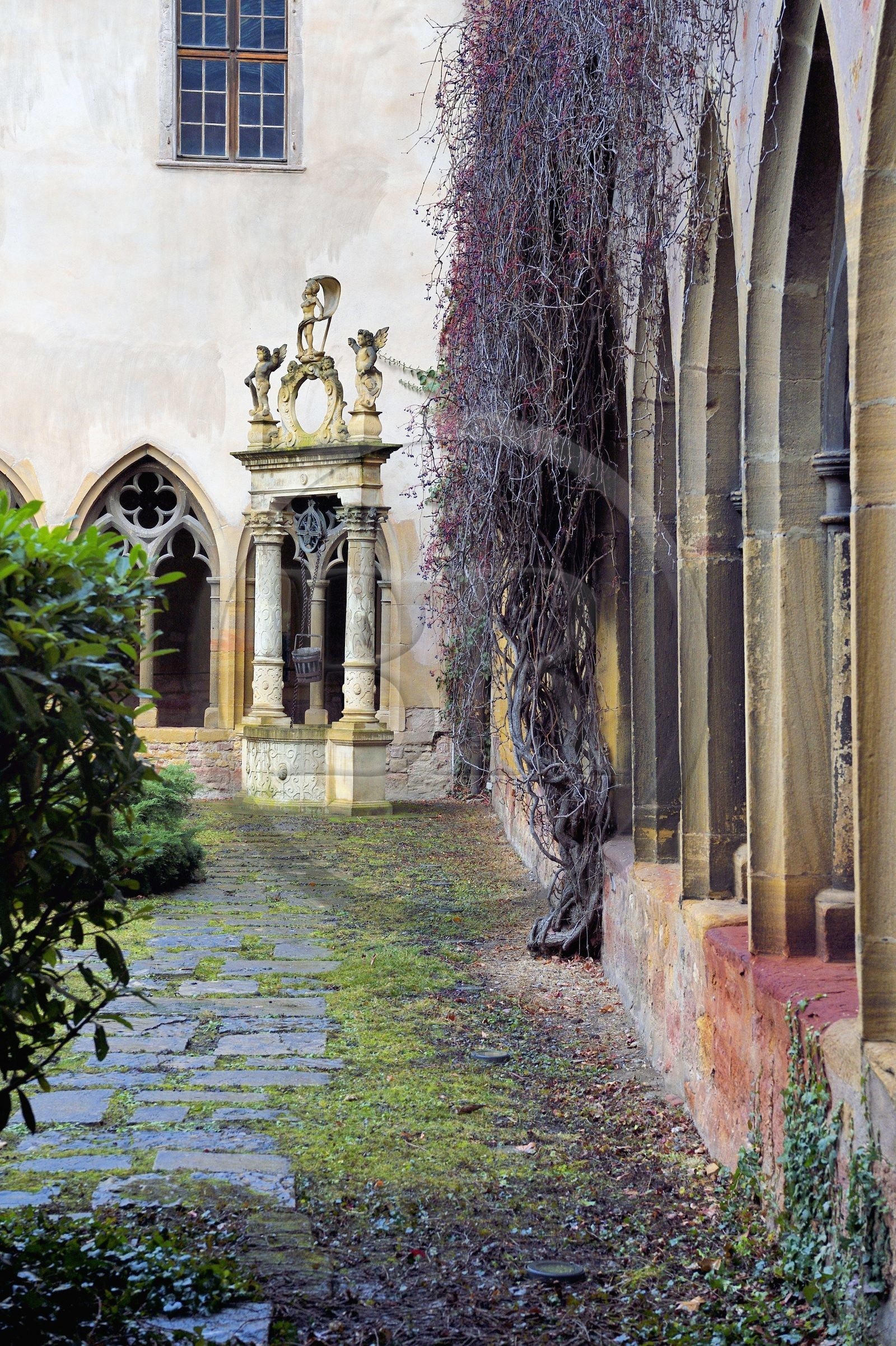 France, Haut-Rhin (68), Colmar, le musée Unterlinden, le cloitre