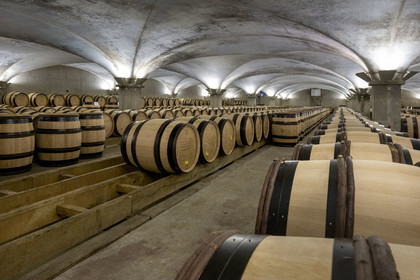 France, Côte-d'Or (21), les climats de Bourgogne classés Patrimoine Mondial de l'UNESCO, Beaune, Cuverie des Hospices de Beaune, tonneaux dans la cave prets à recevoir le pressage des vendanges qui se préparent