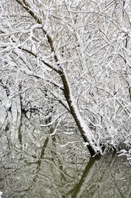 France, Val de Marne, the Marne riverside, Bry sur Marne,