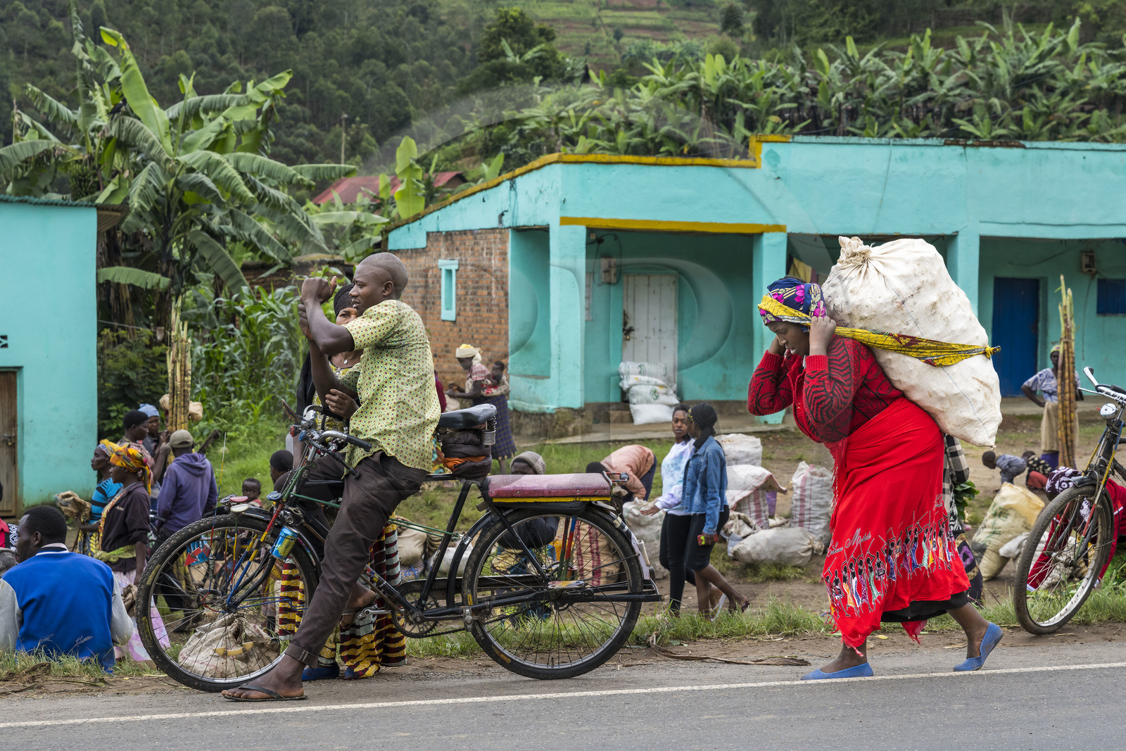 Rwanda, Province du Nord, District de Musanze (Ruhengeri), jour de marché à Muryabazira sur la Route Nationale 4 entre Kigali et Ruhengori, femme transportant un sac très lourd et vélo taxi, les bicyclettes sont le principal moyen de transport local