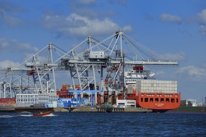 France, Seine-Maritime (76), Le Havre, port de commerce, porte-conteneurs dans le Bassin de chargement René Coty et grues