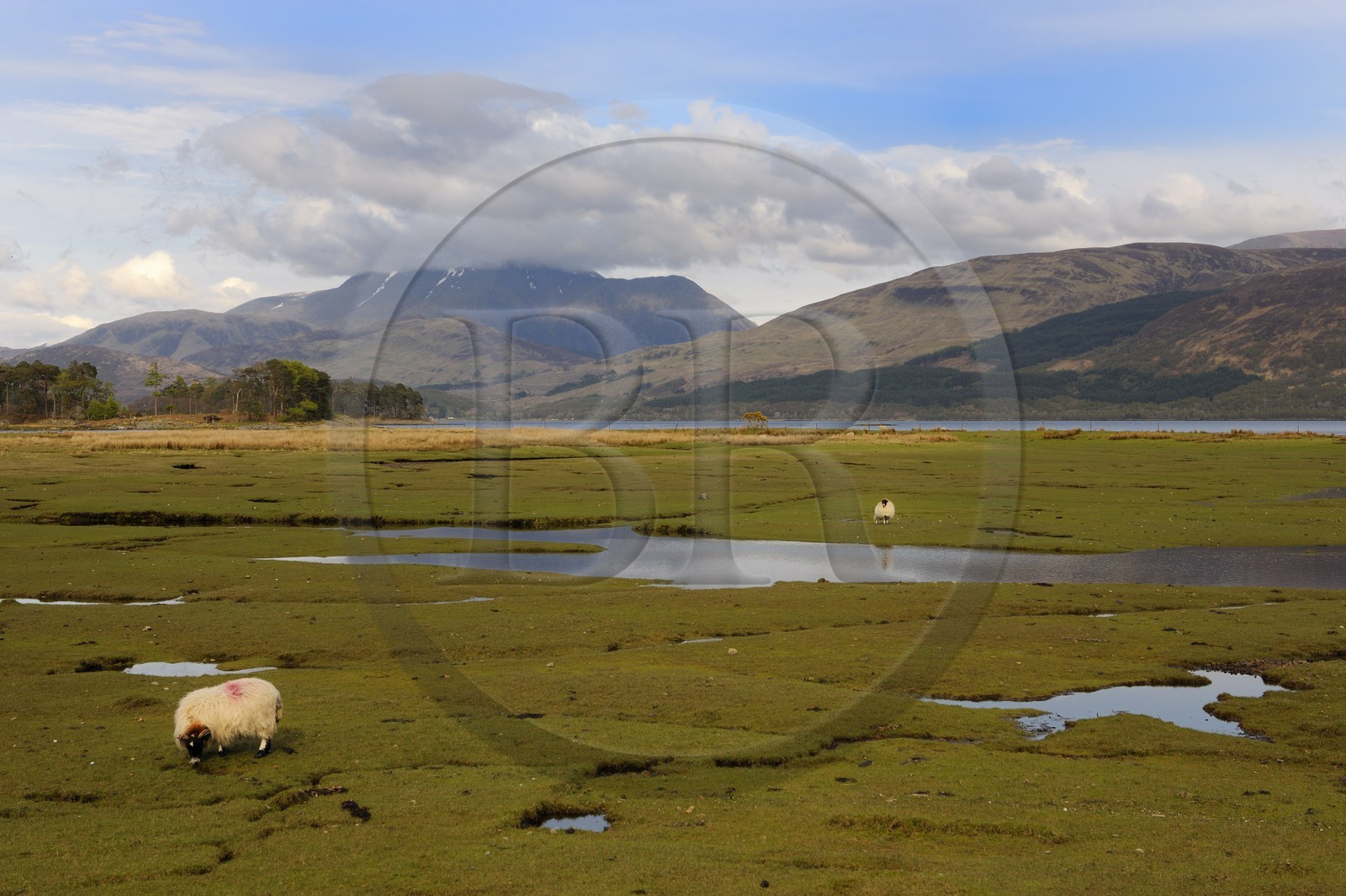 Royaume-Uni, Ecosse, région des Highlands, le Ben Nevis au bord du Loch Linnhe