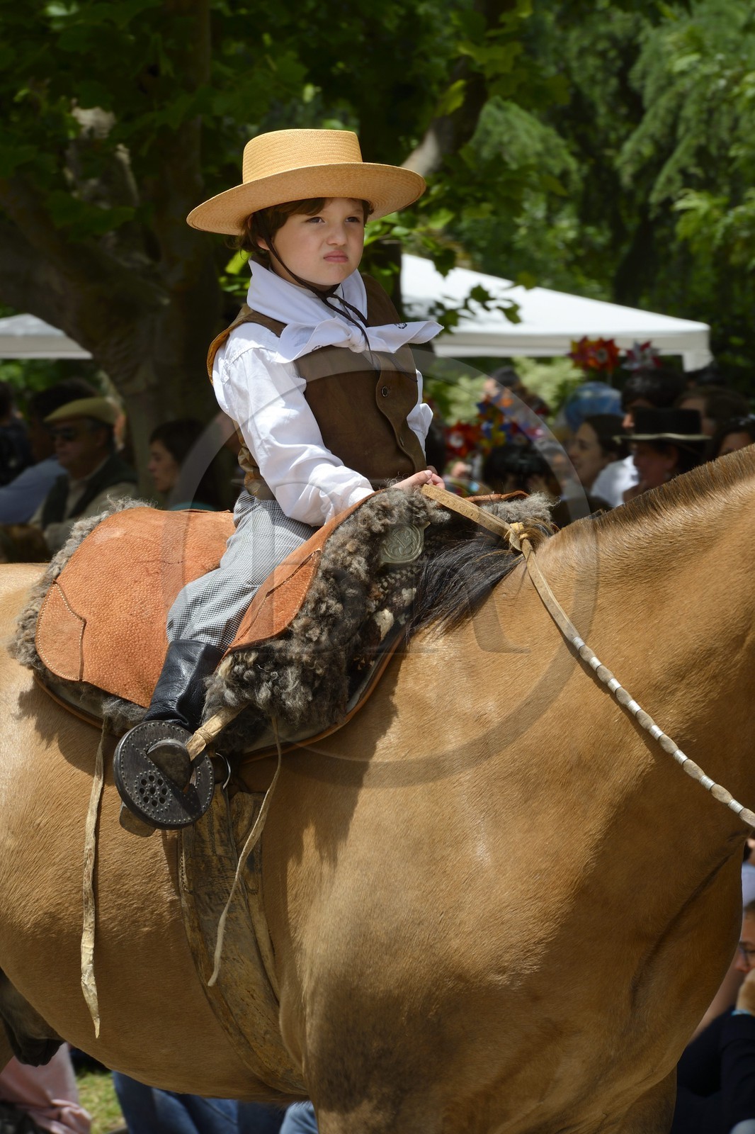 Argentine, province de Buenos Aires, San Antonio de Areco, fête du Jour de la Tradition (Dia de la Tradicion), très jeune gaucho à cheval défilant en habit traditionnel