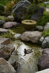 Principauté de Monaco, Monaco, Monte-Carlo, le Jardin Japonais par l'architecte paysagiste Yasuo Beppu