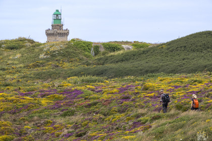 France, Côtes d'Armor (22), Grand Site de France Cap d'Erquy – Cap Fréhel, Plévenon, randonneurs sur le chemin de Grande Randonnée GR34 et le phare du Cap Fréhel en arrière plan