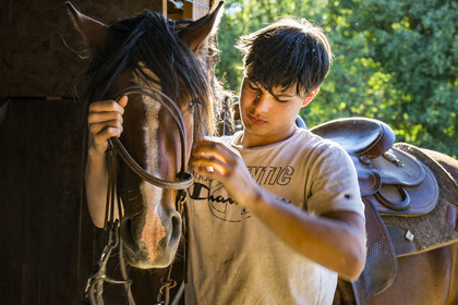 France, Hérault (34), les Causses et les Cévennes, paysage culturel de l'agro-pastoralisme méditerranéen inscrit au Patrimoine Mondial de l'UNESCO, La Vacquerie-et-Saint-Martin-de-Castries, le Mas de Cisco, Charlie Amposta prépare son cheval pour une sortie