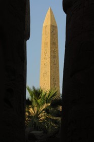 Egypte, Haute Egypte, vallée du Nil, Louxor, Karnak, classé Patrimoine Mondial de l'UNESCO, Obélisque de Thoutmosis I