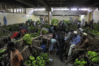 Tanzania, Dar es-Salaam, the Kariakoo central market, the banana hall in the lower floor