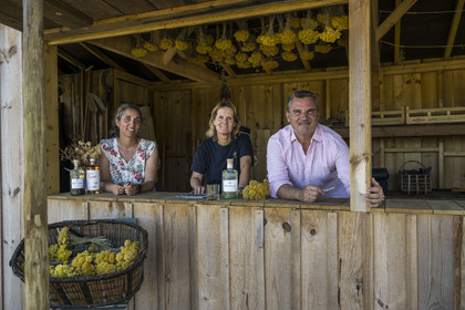 France, Charente-Maritime (17), Ile d'Oléron, Saint-Georges-d'Oléron, l’ingénieur agronome Ethel Gauthier à gauche avec Anne-Cécile et Christophe Amigorena les créateurs du Gin Melifera sous des immortelles des dunes (helichrysum stoechas) qui sechent