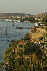 Egypte, Haute Egypte, Nubie, vallée du Nil, Assouan, felouques sur le Nil