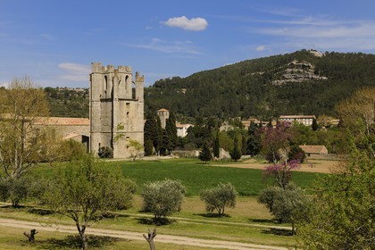 France, Aude, Lagrasse village, labelled Les Plus Beaux Villages de France (The Most Beautiful Villages of France), Sainte Marie de Lagrasse Abbey