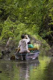 France, Vendée (85), Parc Interrégional du Marais Poitevin labellisé Grand Site de France, Maillezais, batelier effectuant une promenade en barque dans les conches sur les affluents de l'Autise