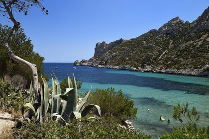 France, Bouches-du-Rhône (13), Marseille, Parc national des Calanques, Calanque de Sormiou (demande d'autorisation nécessaire avant publication)