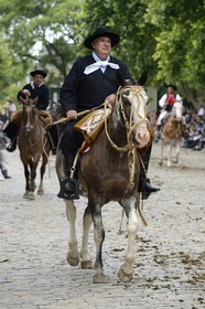 Argentine, province de Buenos Aires, San Antonio de Areco, fête du Jour de la Tradition (Dia de la Tradition), gaucho à cheval défilant en habit traditionnel