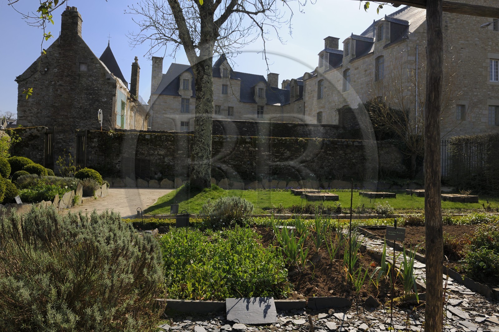 France, Finistère (29), Quimper, quartier de Locmaria, jardin de plantes médicinales et aromatiques