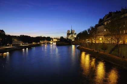 France, Paris (75), les rives de la Seine, classées Patrimoine Mondial de l'UNESCO, la cathédrale Notre-Dame