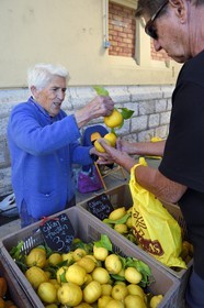 France, Alpes-Maritimes, Menton, municipal covered market, Menton lemons