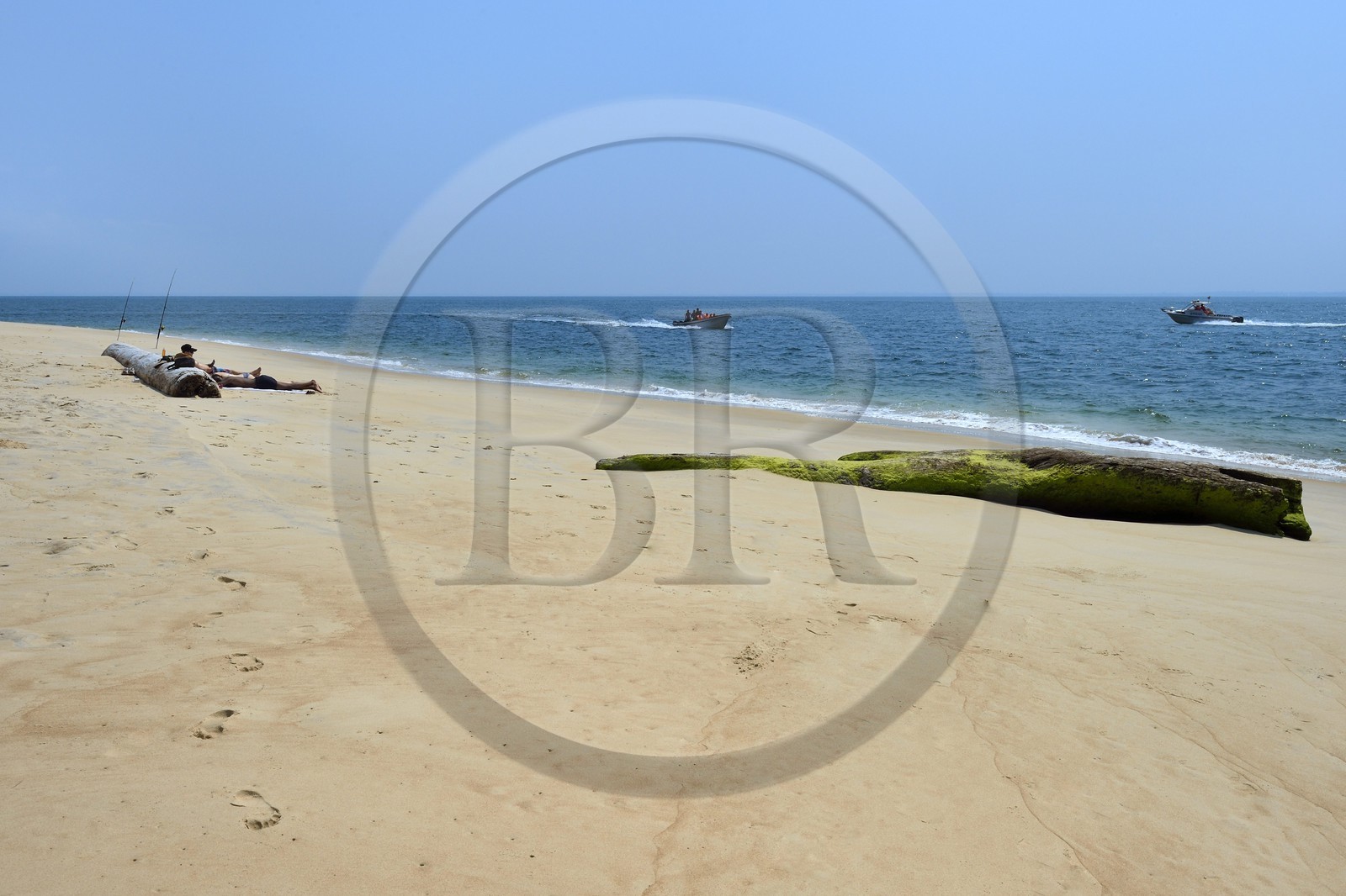 Gabon, province de l'Estuaire, plage de la Pointe Denis qui fait face à Libreville de l'autre côté de l'Estuaire du Gabon et bois flotté