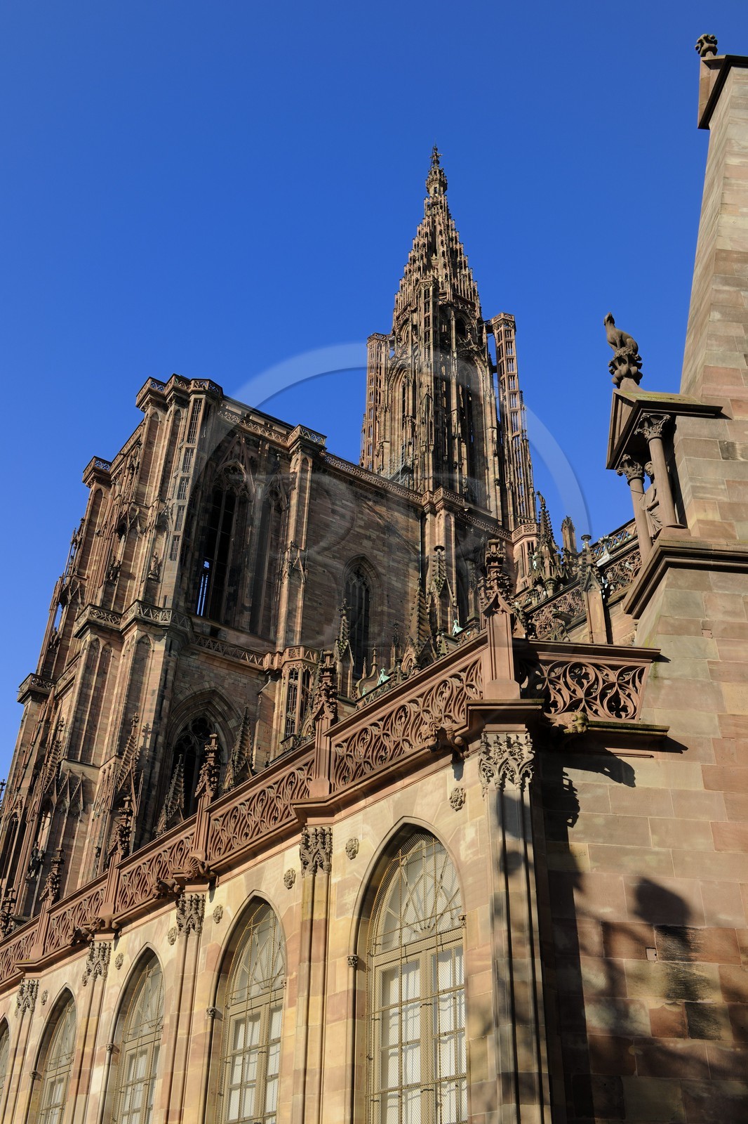 France, Bas-Rhin (67), Strasbourg, la cathédrale Notre-Dame