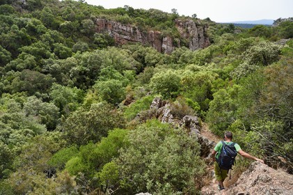France, Var (83), entre Bagnols-en-Forêt et Roquebrune-sur-Argens, randonnée dans les Gorges du Blavet